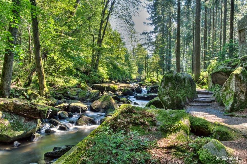 Cozy I Blockhuette Im Nationalpark I Ferienwohnung Нойрайхенау Экстерьер фото