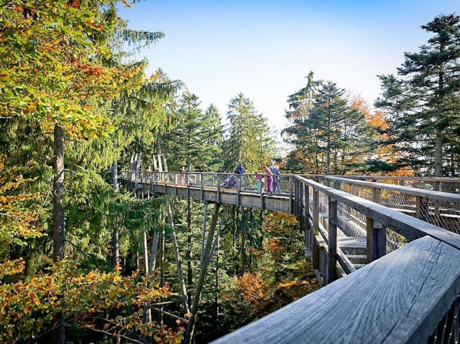 Cozy I Blockhuette Im Nationalpark I Ferienwohnung Нойрайхенау Экстерьер фото
